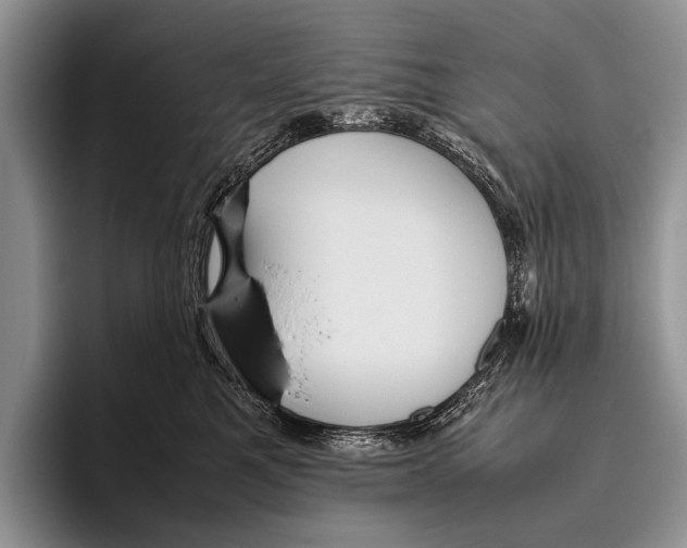 X0000095940521200802081240