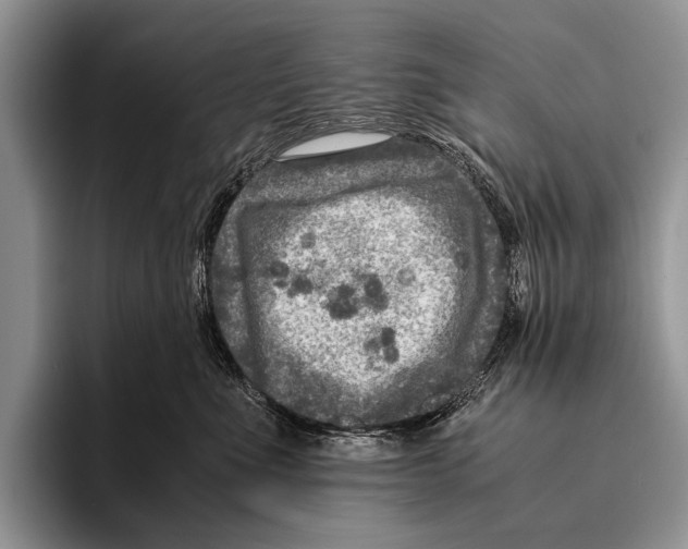 X0000095940523200802081240