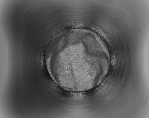 X0000095940524200802081240