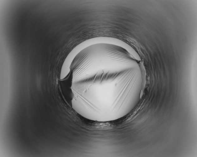 X0000095940525200802081240