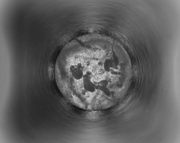 X0000095940527200802081240