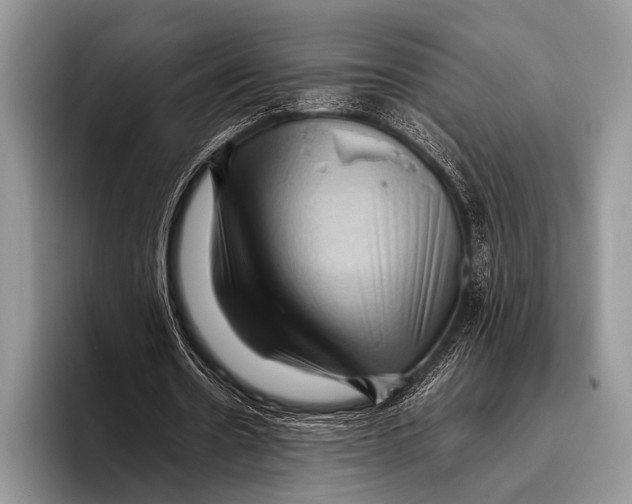 X0000095940530200802081239