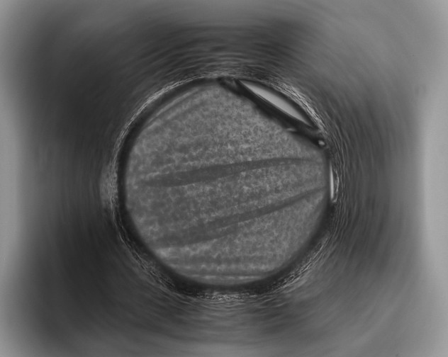 X0000095940531200802081239