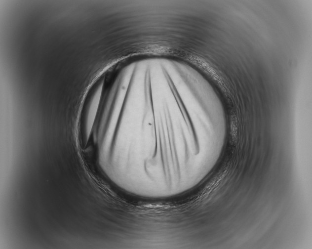 X0000095940532200802081239