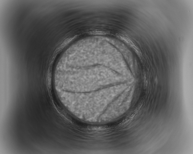 X0000095940533200802081239