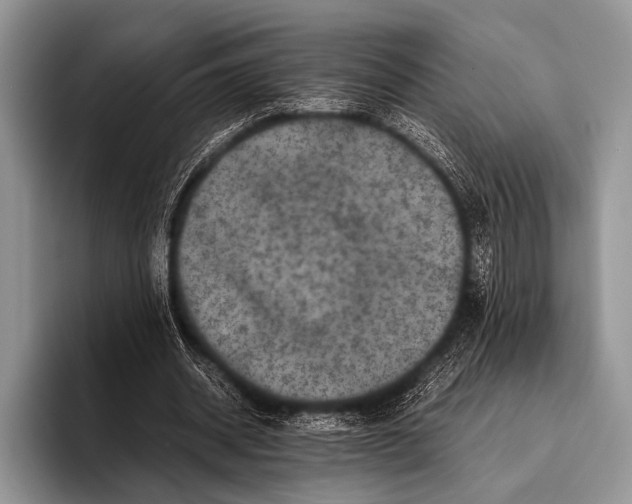 X0000095940534200802081239