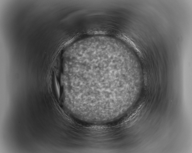 X0000095940537200802081239