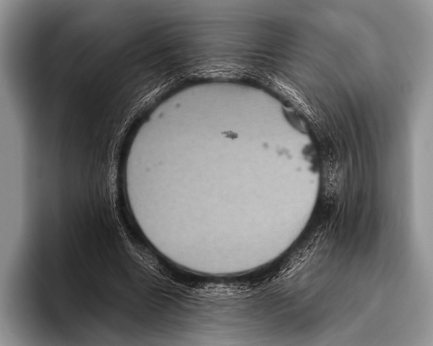 X0000095940538200802081239