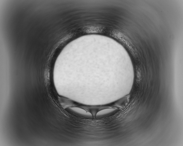 X0000095940539200802081239