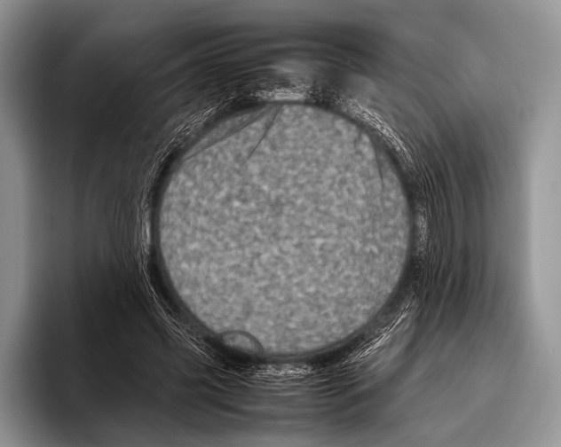 X0000095940541200802081239