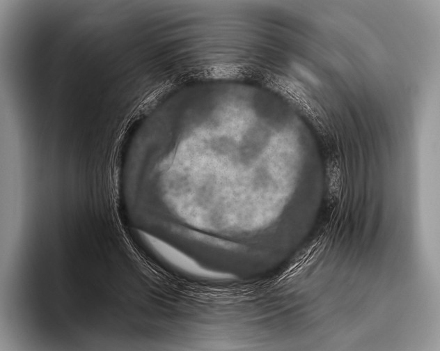 X0000095940542200802081239