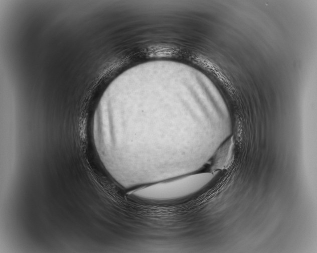 X0000095940543200802081239