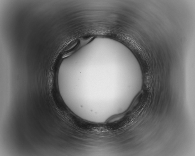 X0000095940544200802081239