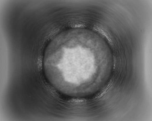 X0000095940545200802081239