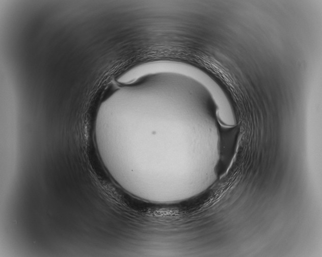 X0000095940546200802081239