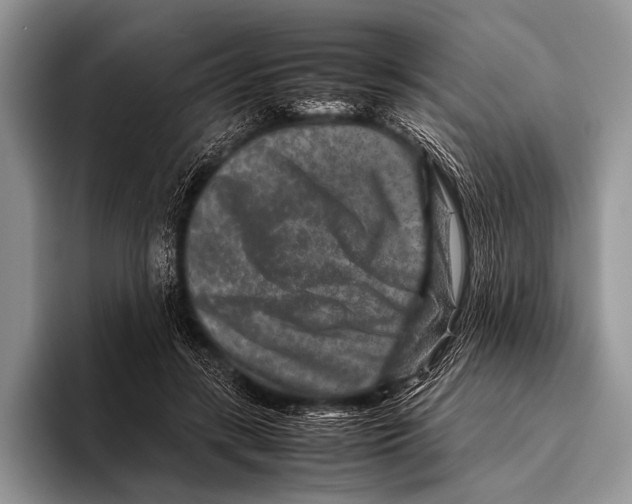 X0000095940547200802081239