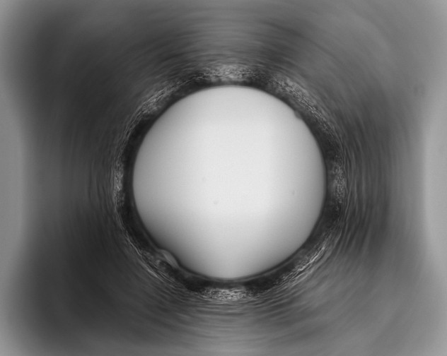 X0000095940548200802081239