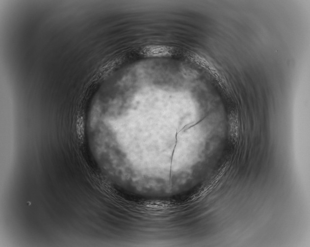 X0000095940549200802081239