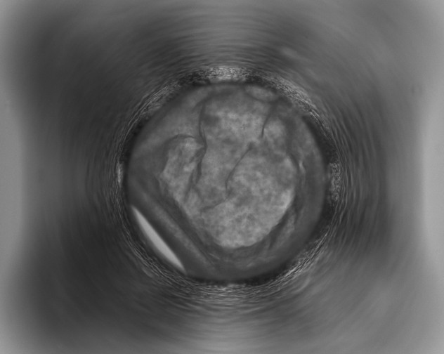 X0000095940550200802081239