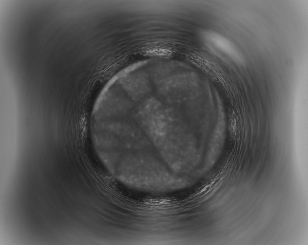 X0000095940551200802081239