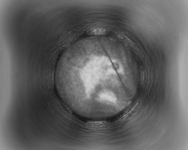 X0000095940553200802081239