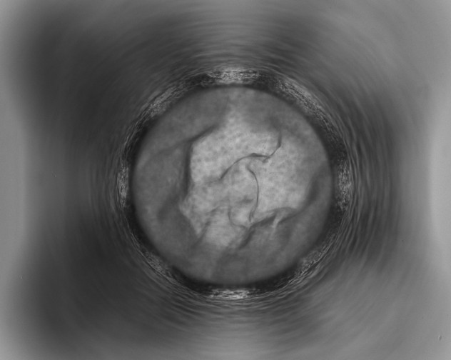 X0000095940554200802081239