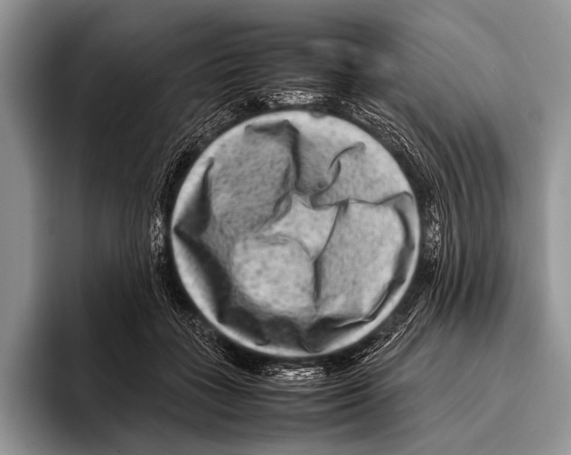 X0000095940555200802081239