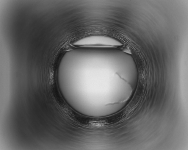 X0000095940556200802081239