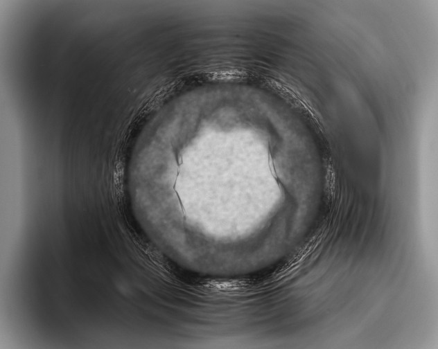 X0000095940557200802081239