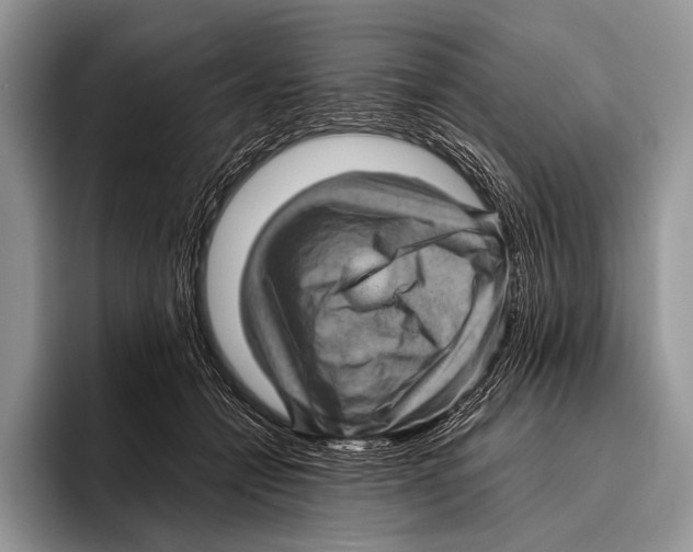 X0000095940558200802081239