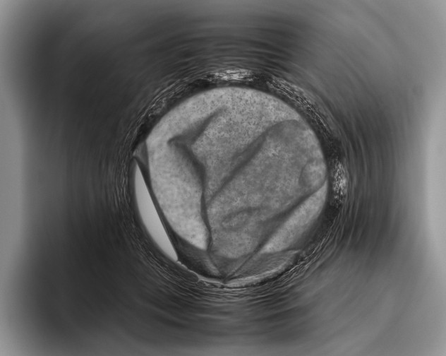 X0000095940559200802081239