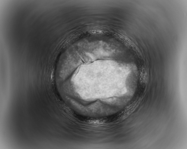 X0000095940561200802081239