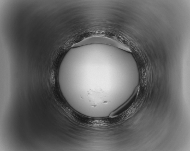 X0000095940562200802081239