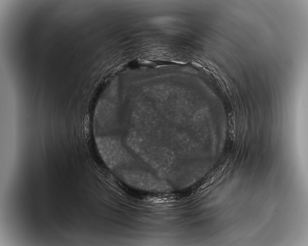 X0000095940563200802081239