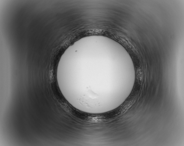 X0000095940564200802081239