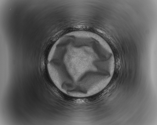 X0000095940566200802081239