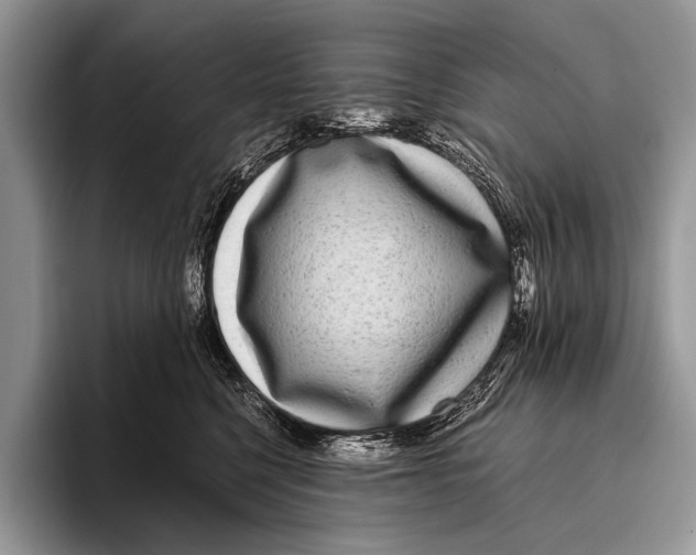 X0000095940568200802081239