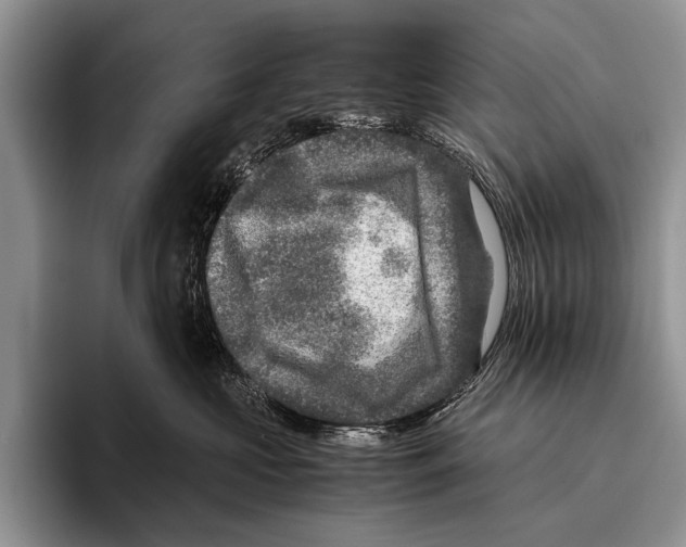 X0000095940573200802081239