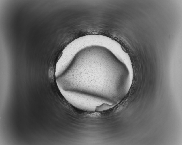 X0000095940576200802081240