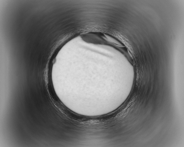 X0000095940578200802081239