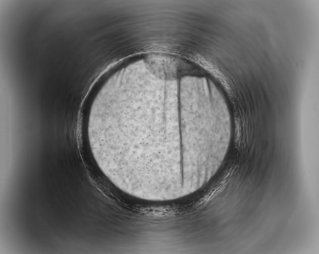 X0000095940580200802081239