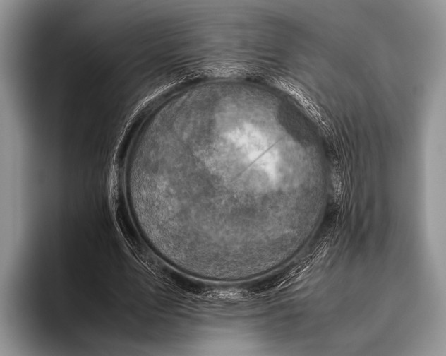 X0000095940583200802081239