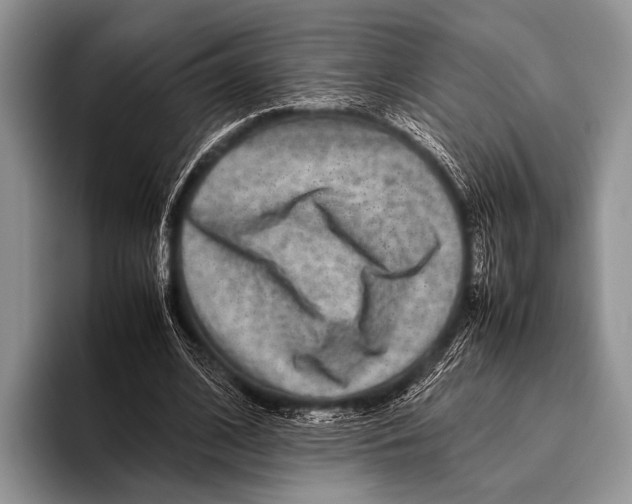 X0000095940584200802081239