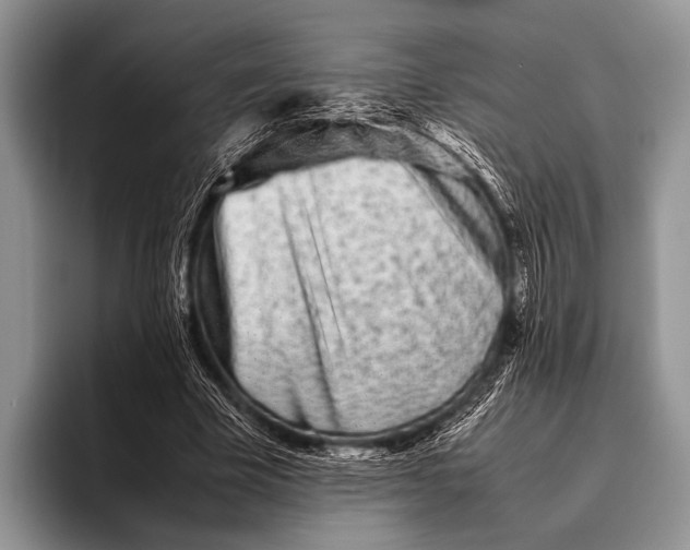 X0000095940585200802081239