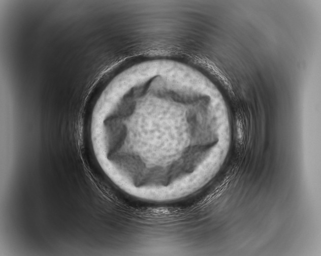 X0000095940588200802081239