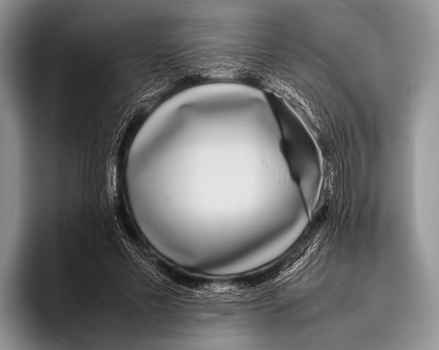 X0000095940589200802081239