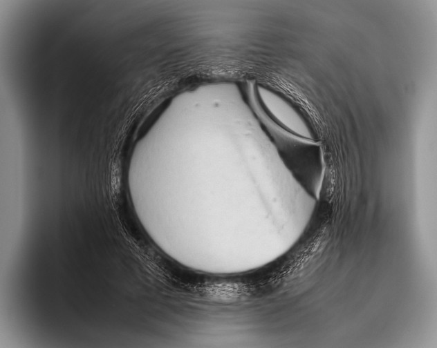 X0000095940593200802081239