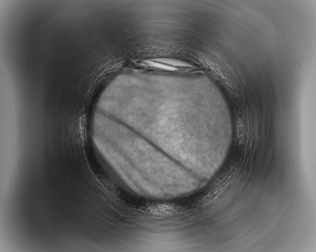 X0000095940594200802081239