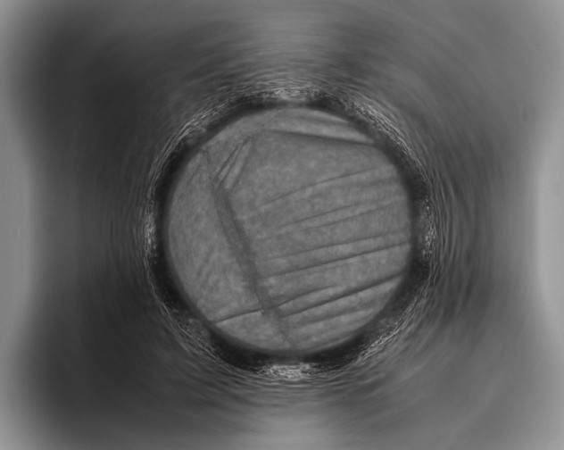 X0000095940595200802081239