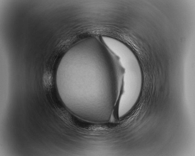 X0000095940597200802081239